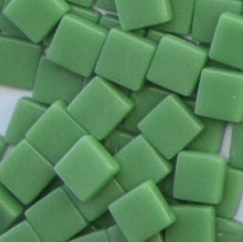 Load image into Gallery viewer, 119-g Sea Green 12mm Loose