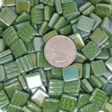 Load image into Gallery viewer, 137-i Palmetto Green 12mm Loose Tile