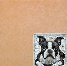 Load image into Gallery viewer, Skeewbacker Classic 18in x 18in x .5in