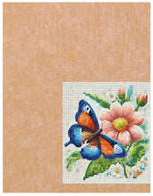 Load image into Gallery viewer, Skeewbacker Classic 8in x 12in