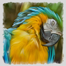 Load image into Gallery viewer, 4x4 Multi-Art Backer