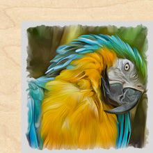 Load image into Gallery viewer, 4x4 Multi-Art Backer