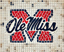 Load image into Gallery viewer, Ole Miss 11"x14" (pre-drilled for hanging kit)