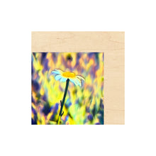 Load image into Gallery viewer, 6x6 Multi-Art Backer