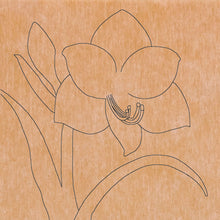 Load image into Gallery viewer, Amaryllis with Pattern 12" x 12" (pre-drilled for hanging kit)