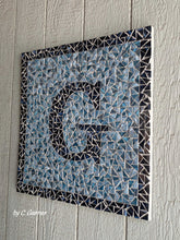 Load image into Gallery viewer, Skeewbacker Classic 24in x24in x .5in