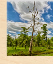 Load image into Gallery viewer, 10x12 Multi-Art Backer