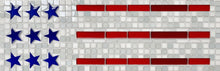 Load image into Gallery viewer, Skeewbacker Classic 5in x 10in