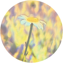Load image into Gallery viewer, Circles Multi-Art Shape (1/4" thick wood) - choose size