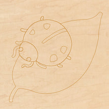 Load image into Gallery viewer, Lady Bug with Pattern 8" x 8"