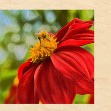 Load image into Gallery viewer, 10x10 Multi-Art Backer