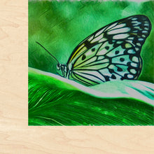 Load image into Gallery viewer, 12x12 Multi-Art Backer
