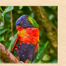 Load image into Gallery viewer, 14x14 Multi-Art Backer