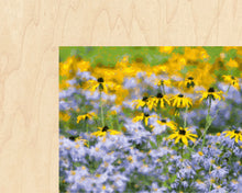 Load image into Gallery viewer, 8x10 Multi-Art Backer