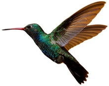 Load image into Gallery viewer, Hummingbird Mosaic Backer (pre-drilled for hangable & stakeable kits)