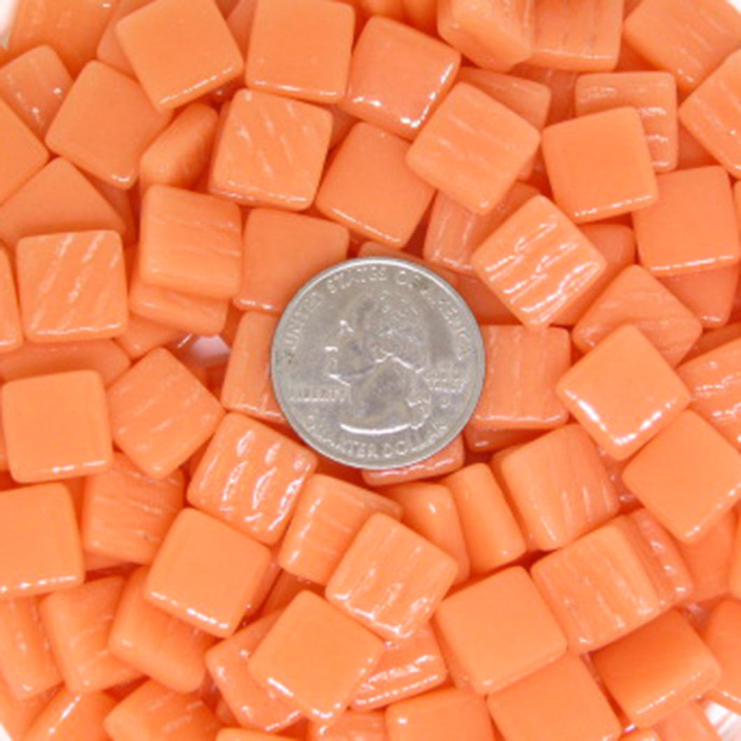 1103-g Salmon 12mm Loose Tile