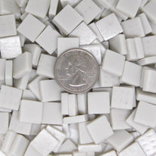 Load image into Gallery viewer, 140-m Zinc White 12mm Loose Tile
