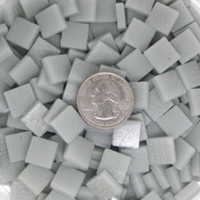 Load image into Gallery viewer, 142-m Pale Gray 12mm Loose Tile
