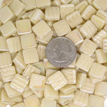 Load image into Gallery viewer, 190-i Sand 12mm Loose Tile
