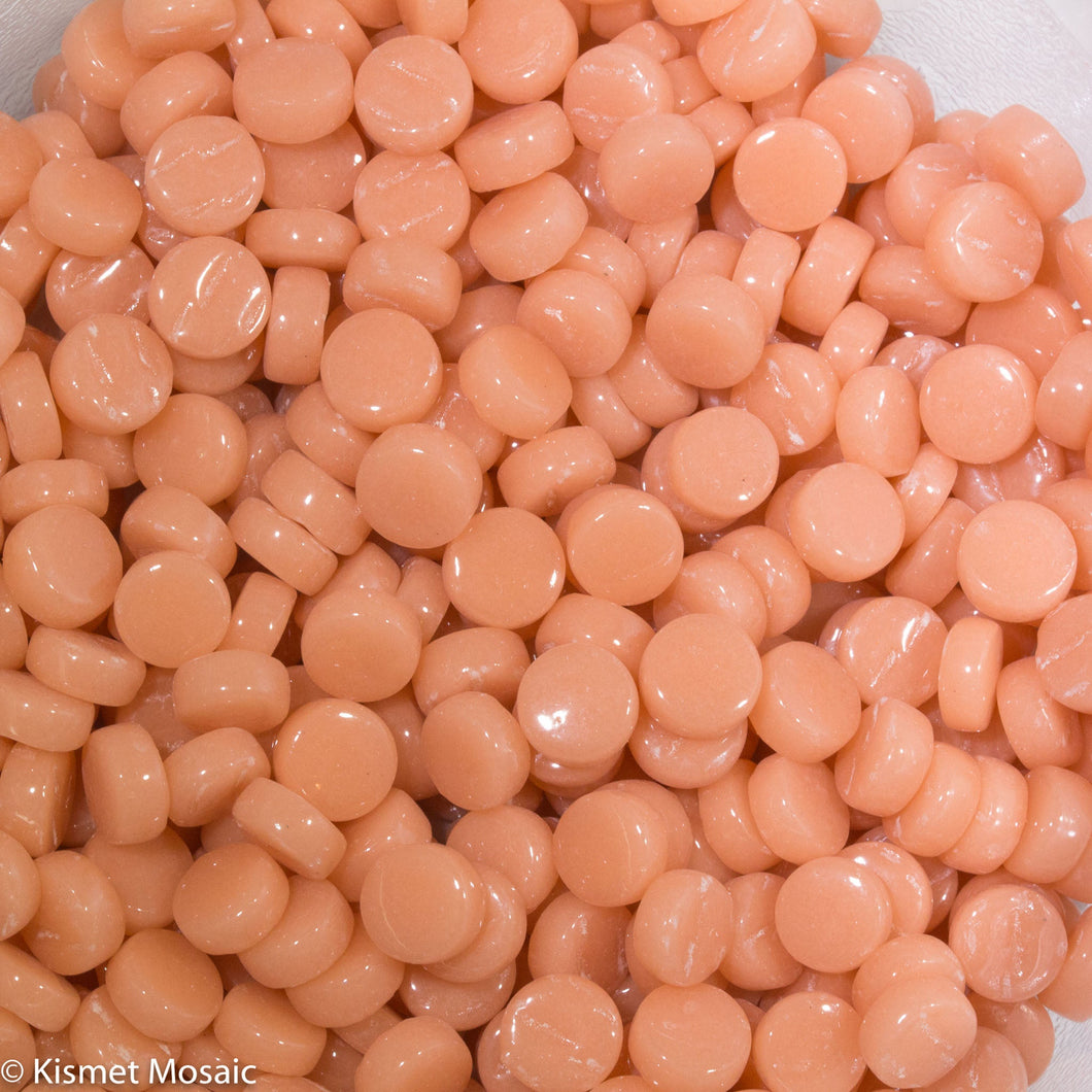 4103-g Salmon Mini Rounds