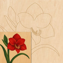 Load image into Gallery viewer, Amaryllis with Pattern 12&quot;x12&quot;
