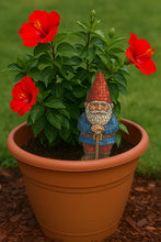 Load image into Gallery viewer, Gnome with Pattern 12&quot;  (pre-drilled for hanging kit and stakeable kit)

