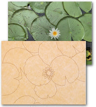 Load image into Gallery viewer, Waterlily with Pattern 17&quot;x23&quot;x.5&quot;
