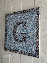 Load image into Gallery viewer, Skeewbacker Classic 24in x24in x .5in
