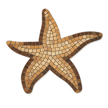 Load image into Gallery viewer, Starfish Mosaic Backer (pre-drilled for hangable &amp; stakeable kits)

