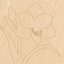 Load image into Gallery viewer, Amaryllis with Pattern 12&quot;x12&quot;
