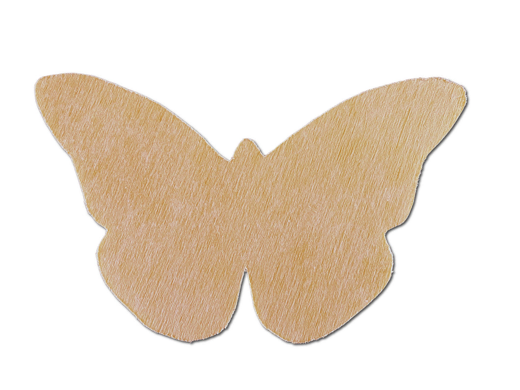 Butterfly 14
