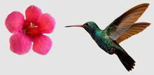 Load image into Gallery viewer, Flower &amp; Hummingbird Pair Mosaic Backers (pre-drilled for hangable &amp; stakeable kits)
